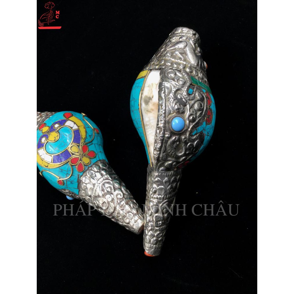 ỐC BIỂN NEPAL HOA VĂN TO