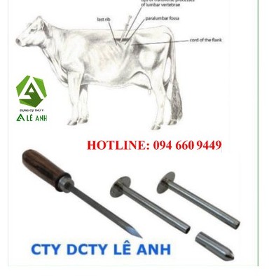 TROCA THÔNG HƠI DẠ CỎ TRÂU BÒ 9CM