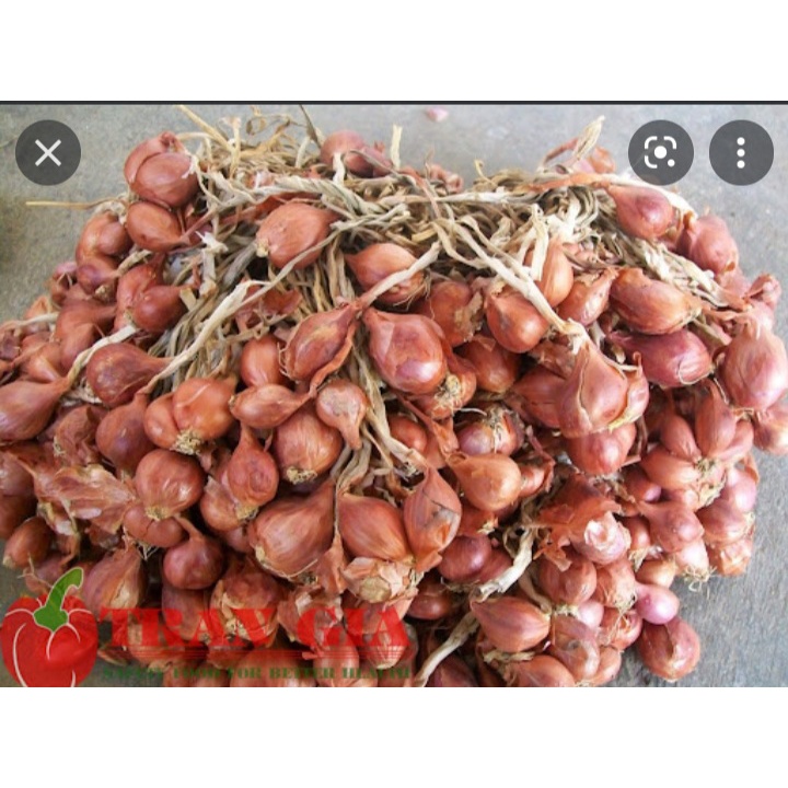 1KG Hành tím xứ Nghệ nhà trồng thơm ngon giá rẻ chỉ 55.000 1kg.giao nhanh khu vực TPHCM