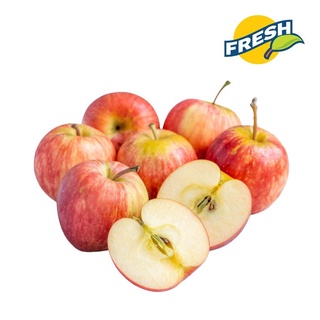 Táo túi nam phi bịch 3kg - 1,5kg - 1kg