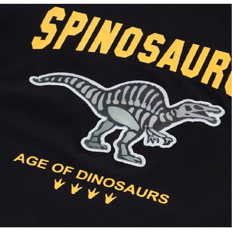 Áo thun thời trang BALABALA - KIDS dành cho bé trai 202222117102