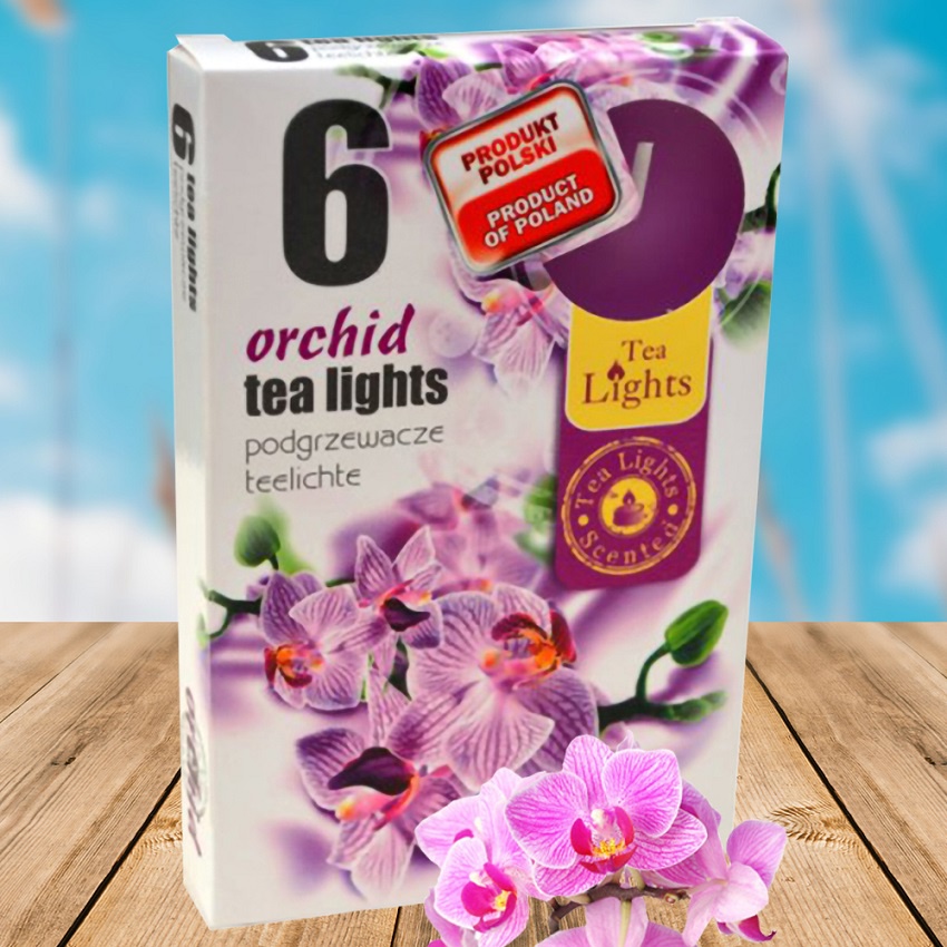 Hộp 6 Nến Thơm Tealight Admit ADM7708 Orchid (Hoa địa lan)