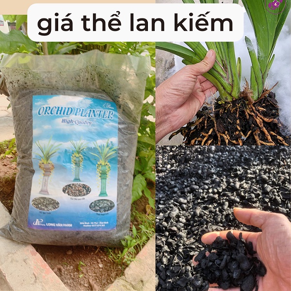[FreeShip] 1kg Giá Thể Trồng Lan Kiếm - Vỏ Lạc Hun Đã Qua Xử Lý Sạch