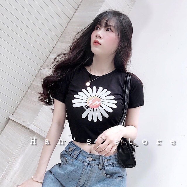 Áo croptop ngắn tay hình hoa 4 màu thun lạnh mềm mịn RICH STORE CRT05