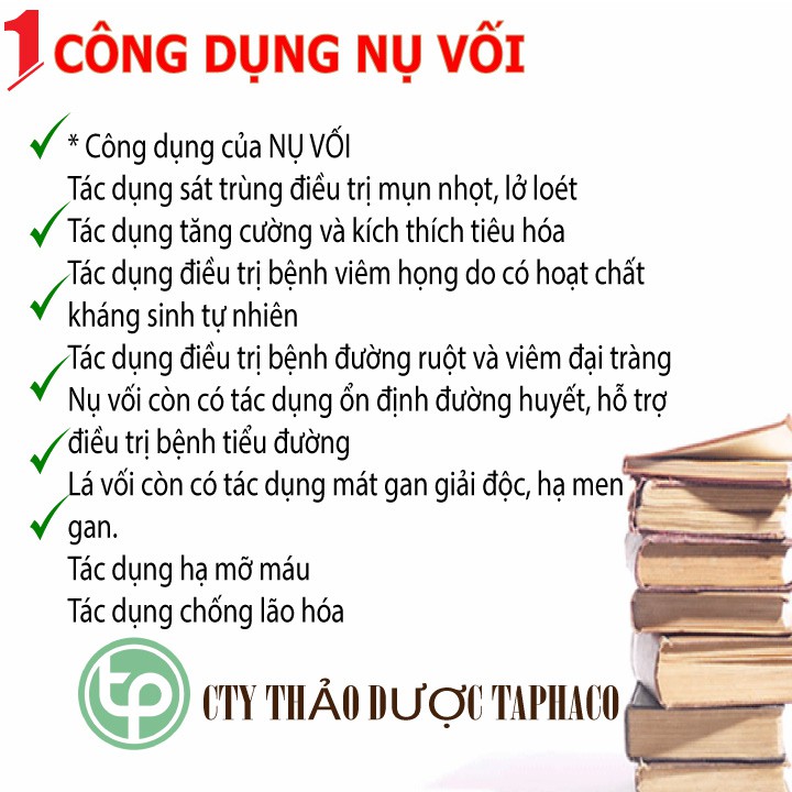 [Mã 66FMCGSALE hoàn 8% đơn 500K] Nụ vối khô - Thảo dược Tấn Phát