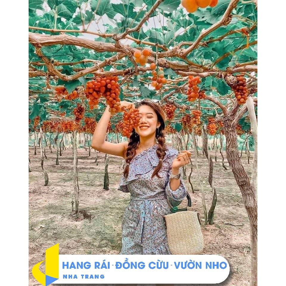 NHA TRANG [E-Voucher] - Tour Hang Rái, Vĩnh Hy, Đồng Cừu -Tour 1 ngày, đón khách tại Nha Trang