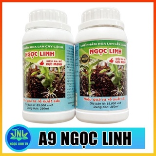 Chế phẩm kích rễ ngọc linh a9 vip chai 250ml