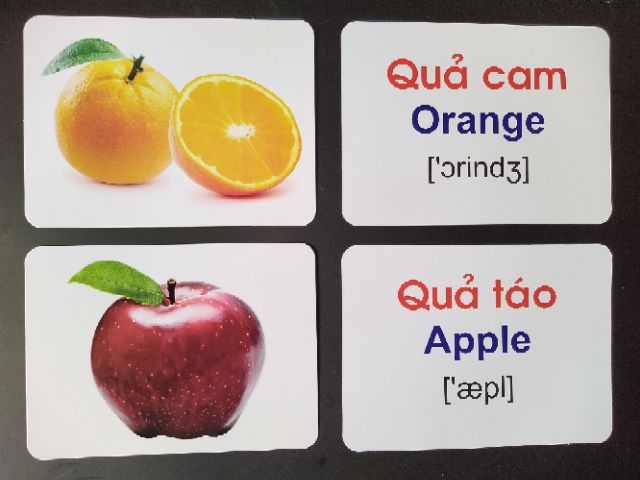 Bộ Thẻ Học 256 thẻ 18 chủ đề TGXQ loại TO song ngữ A-V loại chuẩn Glenn Doman Flashcard cho bé từ 0-6 tuổi