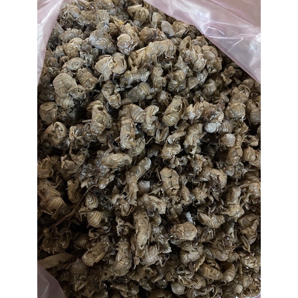 THUYỀN THOÁI  loại 1