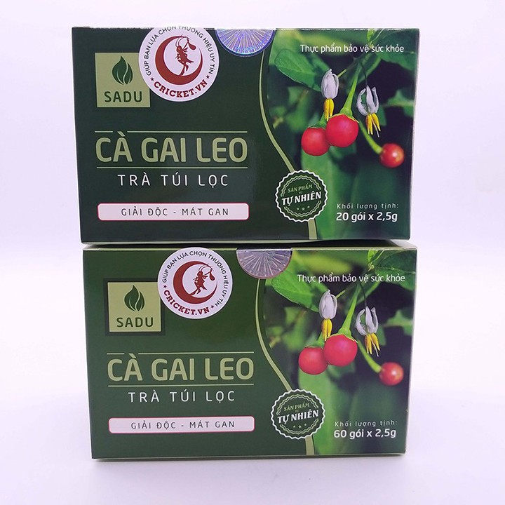 (Mua 5 Tặng 1) Trà Túi Lọc Cà Gai Leo - Tăng cường chức năng giải độc gan 150g - Hộp 60 gói *2,5g