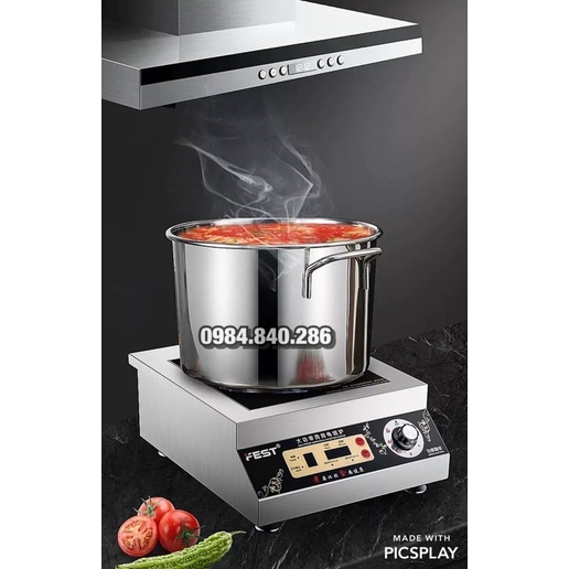 Bếp từ công nghiệp Fest 5000W