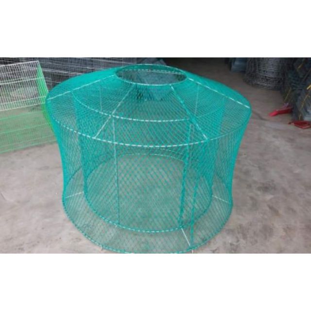 Lồng gà chạy