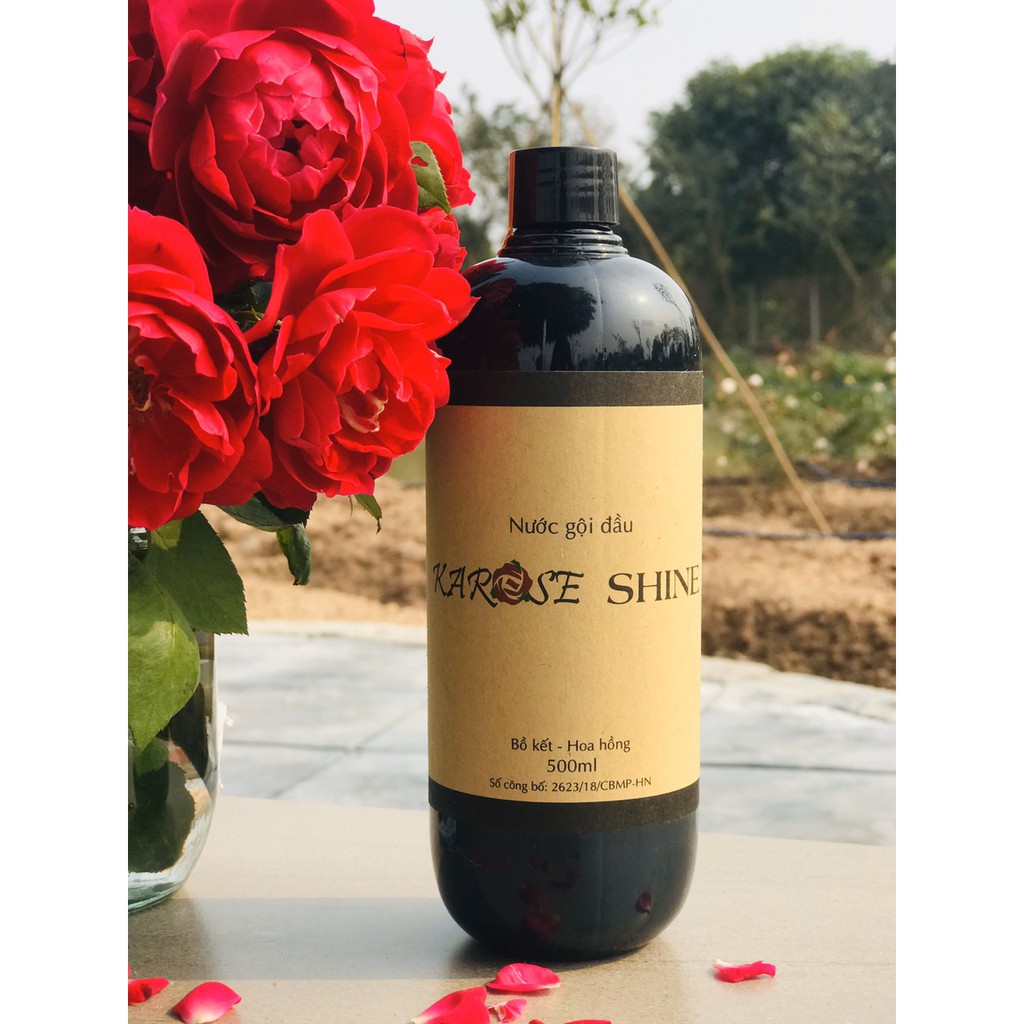 [ DATE MỚI NHẤT ] NƯỚC GỘI ĐẦU KAROSE SHINE | BigBuy360 - bigbuy360.vn