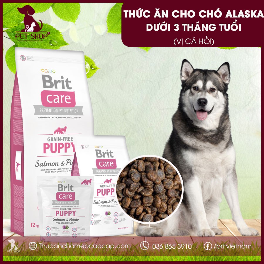 Thức Ăn Cho Chó Alaska Giai Đoạn Từ 1 Đến 3 Tháng Tuổi Brit Care Grain-Free Puppy Salmon & Potato Loại 3kg