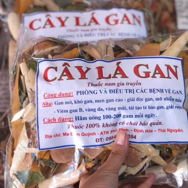 Cây lá Gan