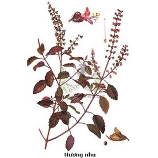 Lá Xông Thảo Mộc Dr.Care