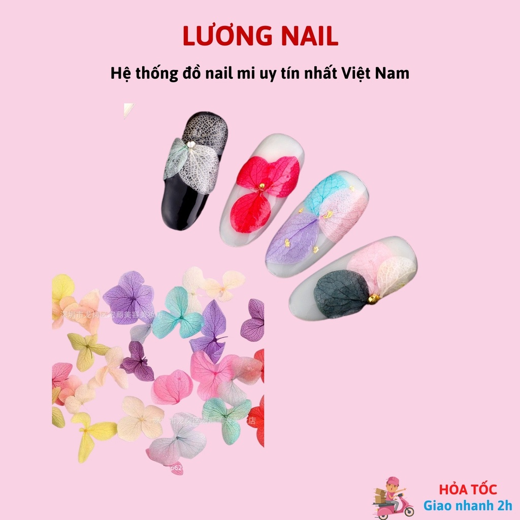 Hoa khô lụa trang trí nail ẩn gel khay 12 màu