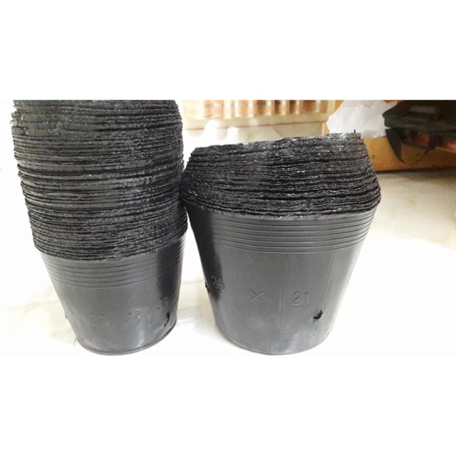 500gr túi bầu ươm cây