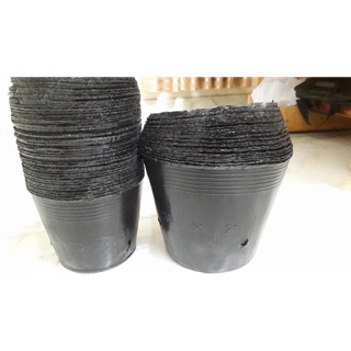 500gr túi bầu ươm cây(Hàng loại 1)