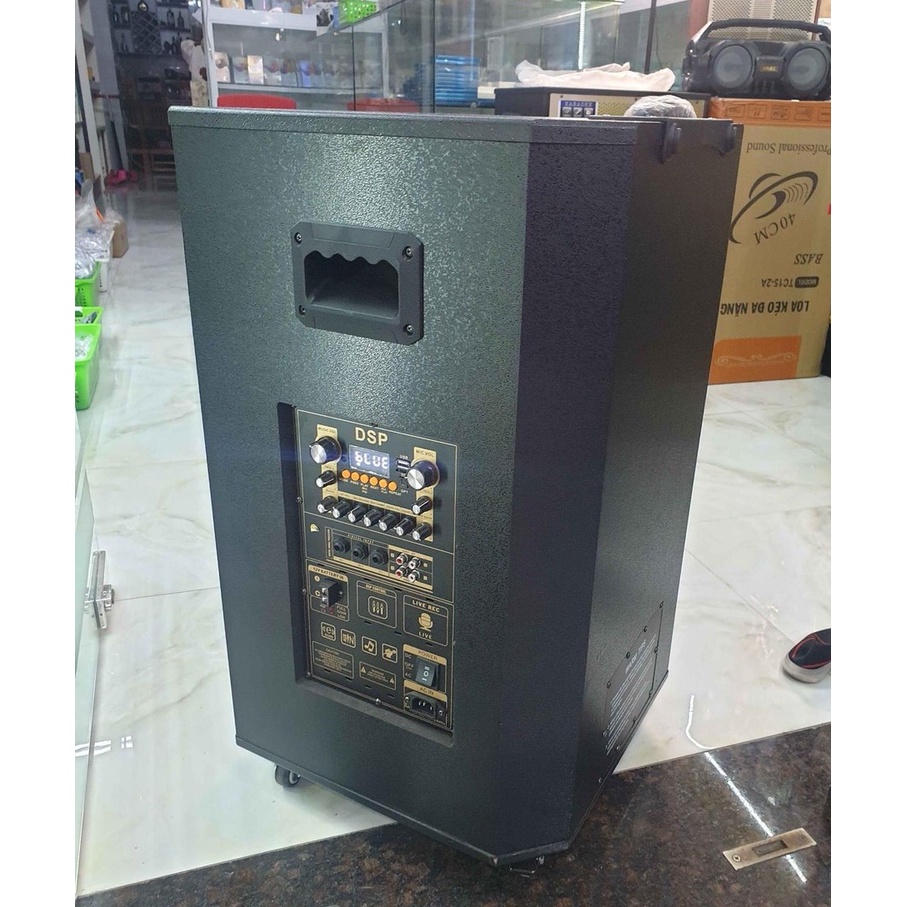 Loa kéo karaoke công suất lớn phá làng, phá xóm, hát cực hay kèm micro kim loại uhf không dây