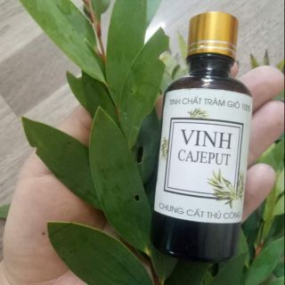 Tinh chất tràm gió nguyên chất 100% chai 50ml