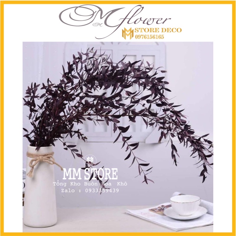 1 bó lá khô deco trang trí , lá khô hoa khô deco siêu đẹp