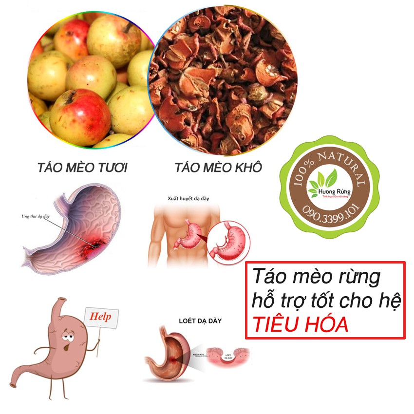 [HÀNG CHUẨN RỪNG] TÁO MÈO RỪNG - 1kg, tốt cho hệ tiêu hóa, miễn dịch, tim mạch, hạ đường huyết - ĐẶC SẢN HƯƠNG RỪNG