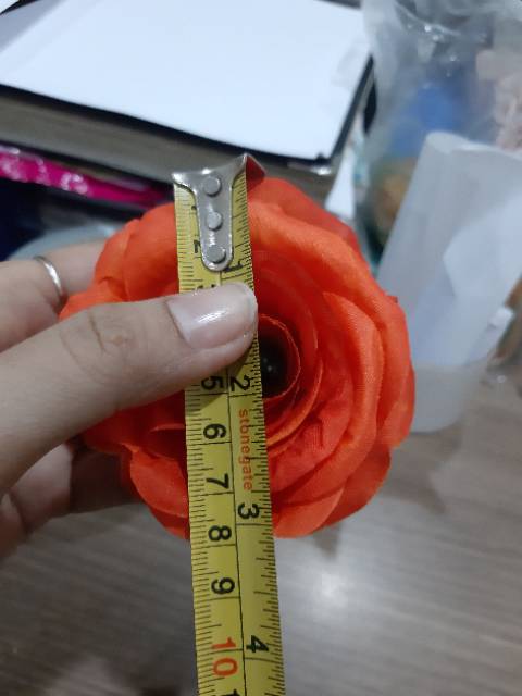 (Hàng Mới Về) 1 (Ecer) Son Môi Nhật Bản Roses Stalk