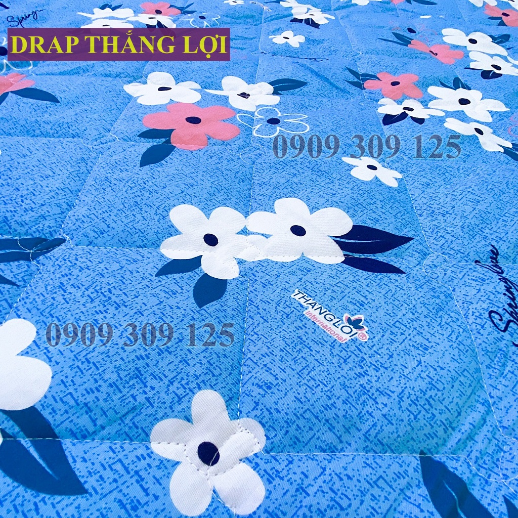 (ảnh thật) Drap cotton Thắng Lợi, ga giường cao cấp thoáng mát mẫu HOA MAI XANH