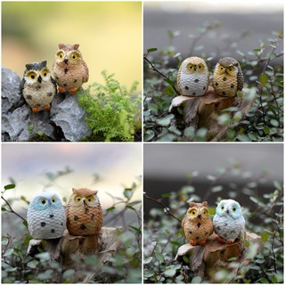 Set mô hình 4 chim cú mèo trang trí tiểu cảnh, terrarium, DIY, bonsai