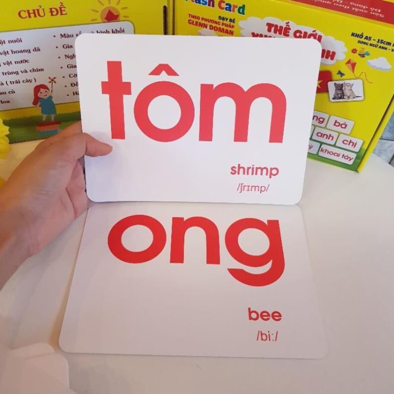 Thẻ Flashcard A5 Bộ thẻ học thông minh 14 chủ để song ngữ dày đẹp dạy bé theo phương pháp Glenn Doman