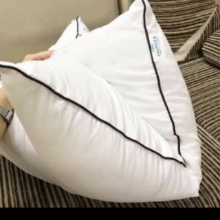 [Complex]đôi ruột gối hilton cao cấp