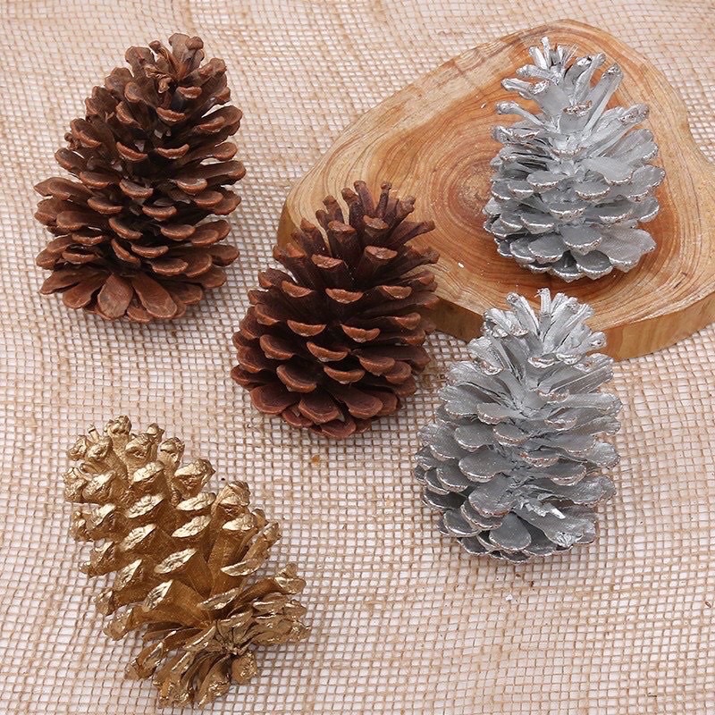 Quả thông khô trang trí phòng