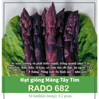 Hạt Giống Măng Tây Tím - Hạt Giống Dễ Trồng, Giàu Chất Dinh Dưỡng