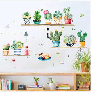 Decal dán tường giàn chậu xương rồng decor đẹp rẻ