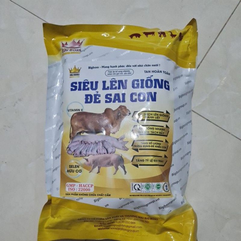 Siêu lên giống đẻ sai con