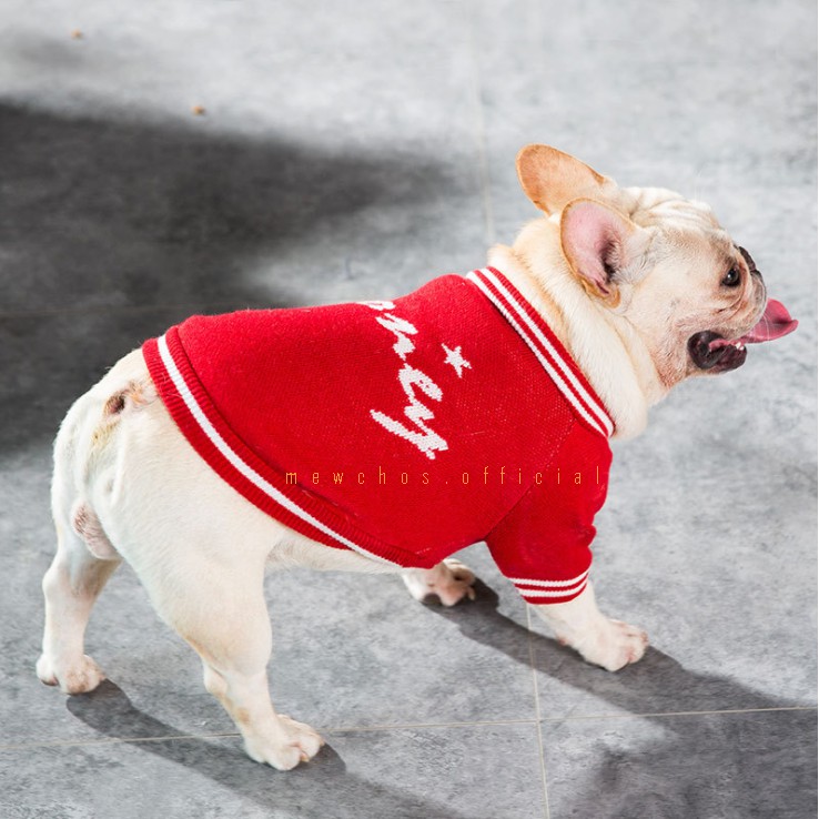 Áo len cực chất thời trang dành cho thú cưng
