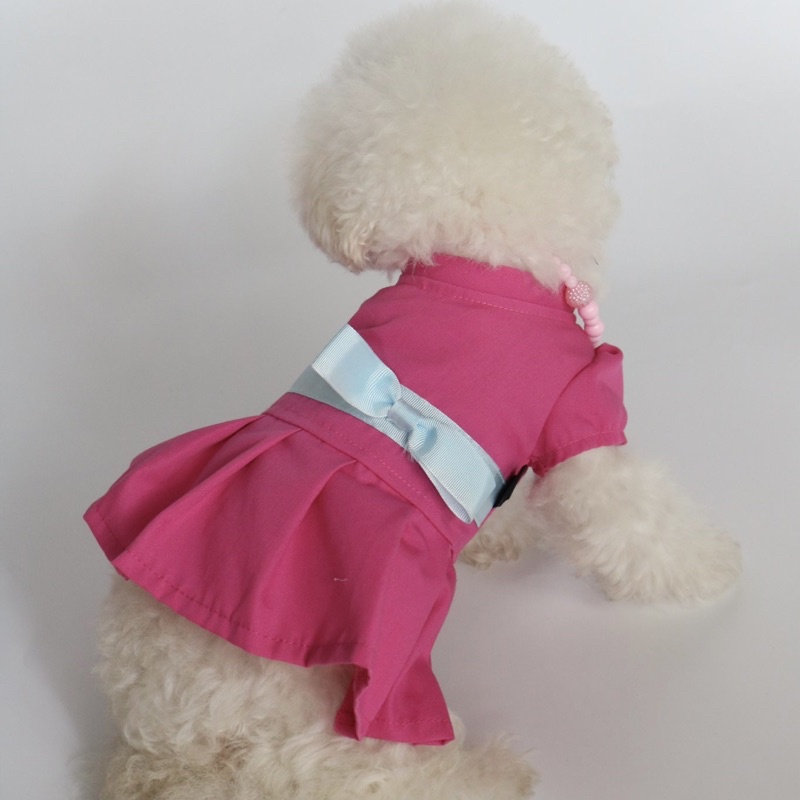 ĐẦM CÔNG CHÚA THÚ CƯNG