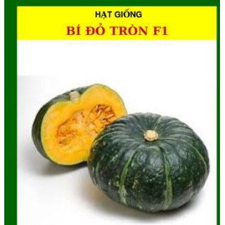 HẠT GIỐNG BÍ ĐỎ TRÒN - GÓI 2 GRAM