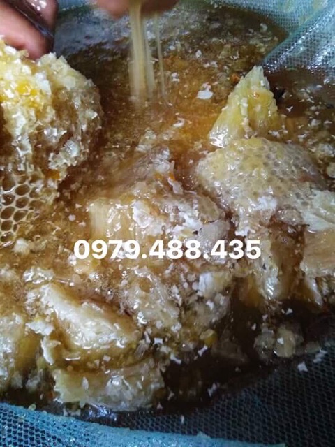 Mật ong rừng nguyên chất | BigBuy360 - bigbuy360.vn