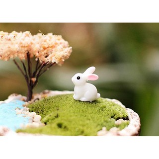 [Tiểu Cảnh] ❤❤Thỏ Ngọc Dễ Thương❤❤ Phụ Kiện Trang Trí Tiểu Cảnh Sen Đá, Terrarium, Decord Mô Hình