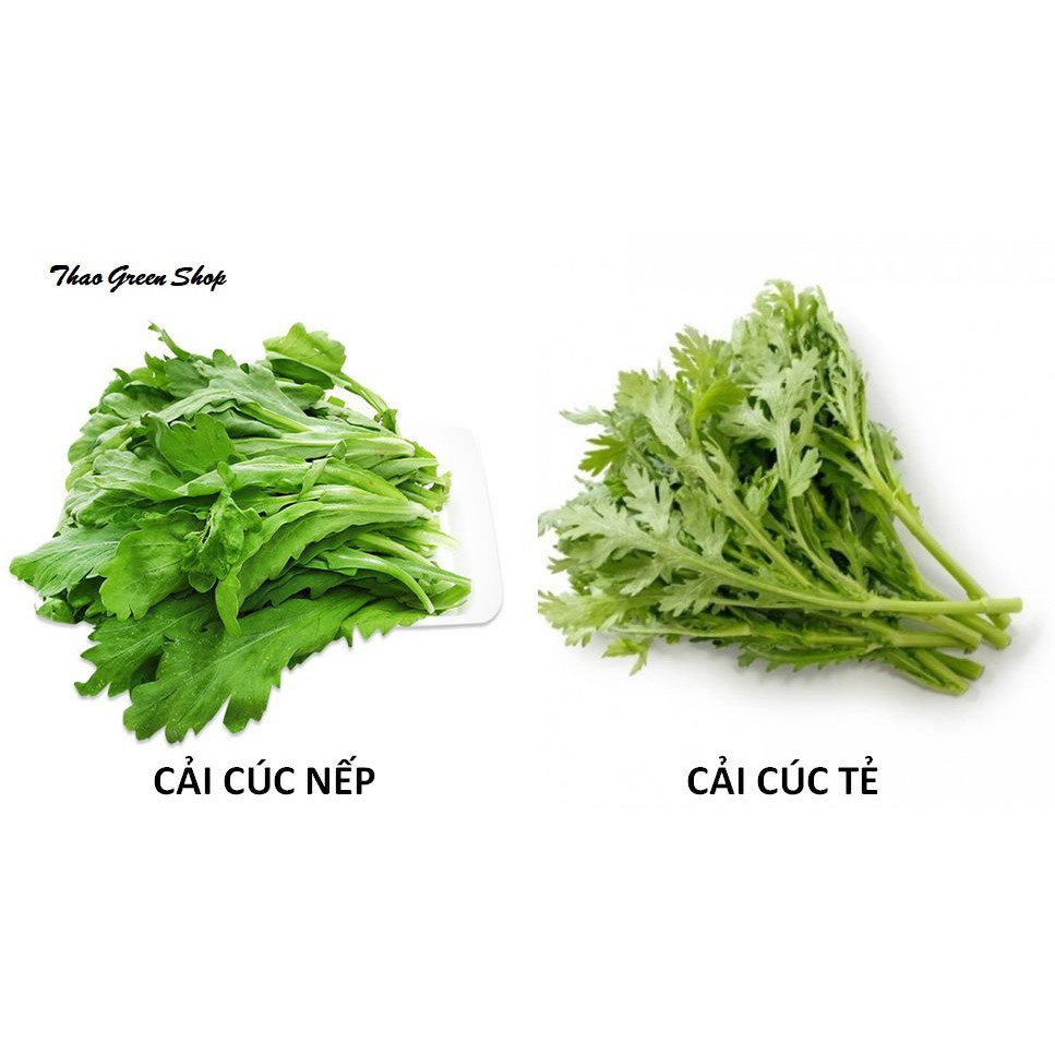 20g Hạt Giống Cải Cúc Thơm / Tần Ô
