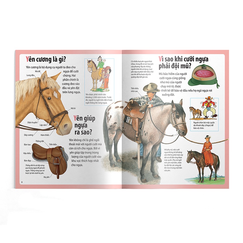 Sách- Em muốn biết vì sao- Ngựa có móng và những câu hỏi khác về ngựa