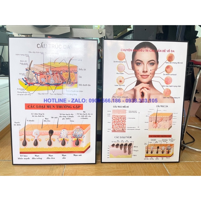 KHUNG TRANH SPA THẨM MỸ - CHĂM SÓC DA SANG TRỌNG HIỆN ĐẠI