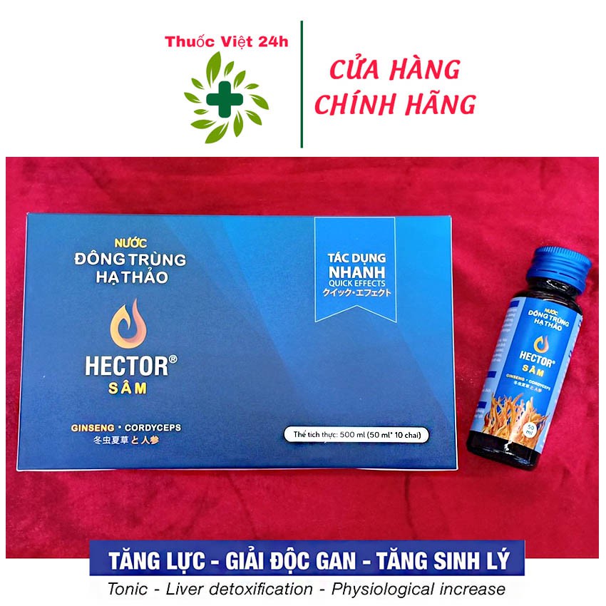 Nước Uống Đông Trùng Hạ Thảo Hector Sâm Hộp 10 Chai Hector Cordyceps Ginseng (Xanh) - thuocviet24h