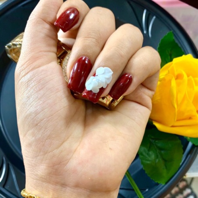 Hoa bột ôm móng sĩ ib giá 3k9