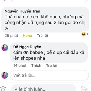 DẦU GỘI, DẦU XẢ RYO, SERUM Nhân sâm
