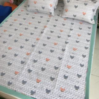 sét thảm gối đũi siêu mát