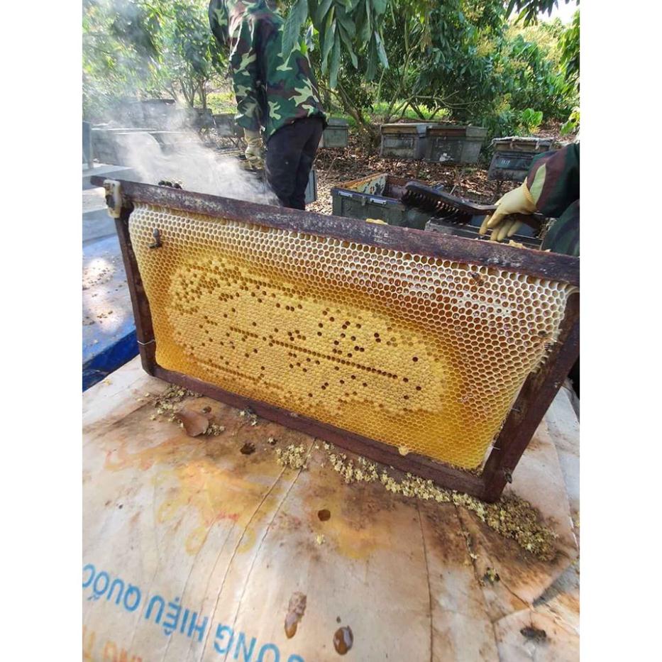 Mật ong nhãn nguyên chất 100% | NHÀ LÀM