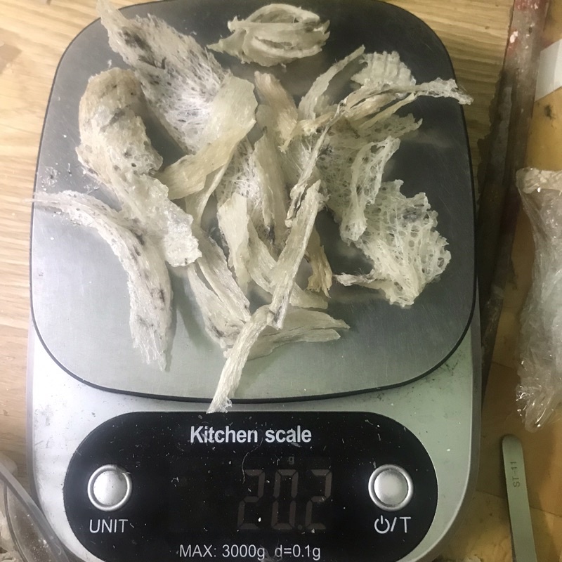 Tổ yến, yến sào vụn to, bể nhỏ Nha Trang, Khánh Hoà 20g, 50g, 100g